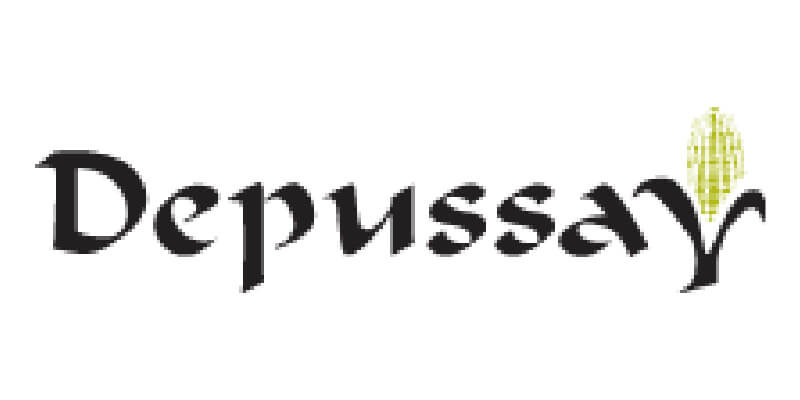 Logo-Depussay